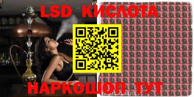 PSILOCYBIN Краснокаменск