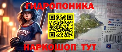 a pvp Краснознаменск