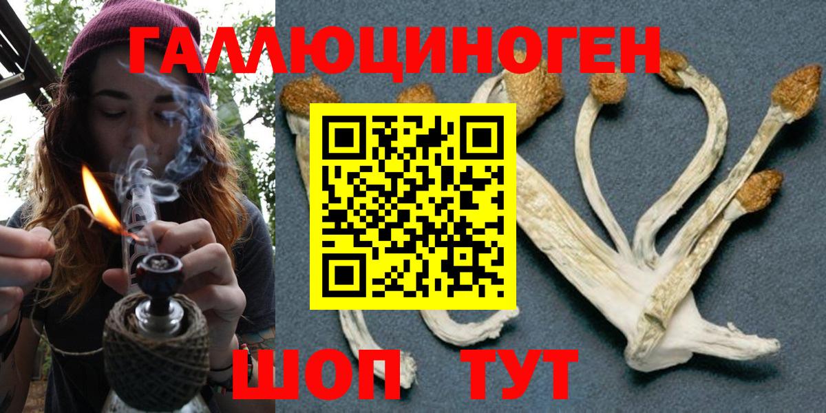 Галлюциногенные грибы прущие грибы  Галлюциногенные грибы GOLDEN TEACHER  Кашира  Вход с VPN 